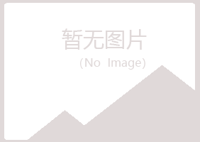 麻山区疯子能源有限公司